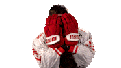 Hockey Surprise Sticker by Saale Bulls