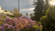 Zoom In GIF by Justin