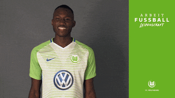josuha guilavogui bundesliga GIF by VfL Wolfsburg