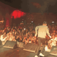 Pinkcardigan GIF