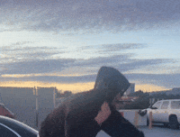 Bay Area Fly GIF by seiji oda