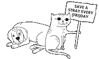 Black Friday Cats Sticker by STRAYZ