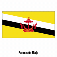 Brunei Flag GIF by Formación Ninja