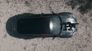 Apex Predator GIF by FullMag