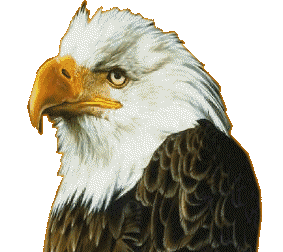 eagles STICKER