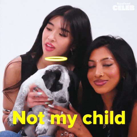 Adopt Girl Group GIF by BuzzFeed