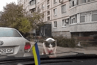 retreat GIF