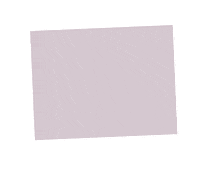 Love Dogs Photography Sticker by puppytales