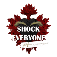 JosefinaVeroSoli mexico shock corazon moda Sticker