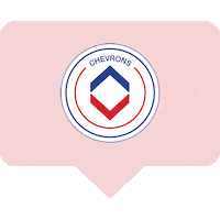 Love Sticker by Chevrons