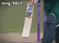 Babar Azam GIF