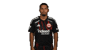 Eintracht Frankfurt Football Sticker by Bundesliga