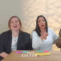 sousculture rigolo sous culture GIF
