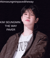 Army Skz GIF