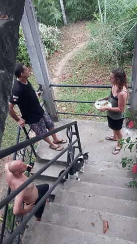danielguimond arteduro GIF