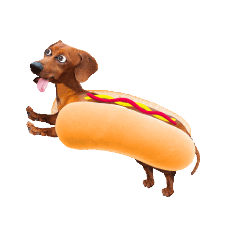 Hungry Hot Dog Sticker by chris timmons