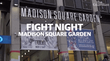 Fight Night Fight GIF by The Guardian