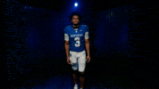 Kentucky Wildcats GIF by UK Athletics
