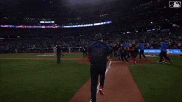 Lets Go Win GIF by Toronto Blue Jays