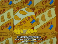Season 1 GIF by The Simpsons