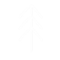 Pine Tree College Sticker by NAUADV