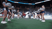 NewYorkRiptide new york lacrosse nll riptide GIF