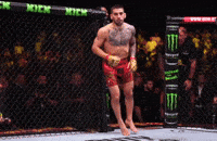 Calling Ufc Fighter GIF