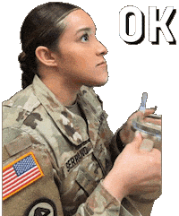 Stanley Cup Ok Sticker by Only_Reilly