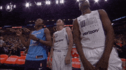 GIF by WNBA