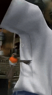 Bird Game GIF
