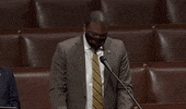 Dc Statehood GIF by GIPHY News
