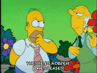Season 1 Episode 13 GIF by The Simpsons