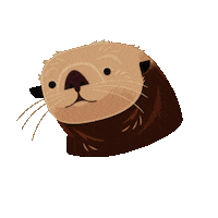 Sea Otter Ocean Sticker by Monterey Bay Aquarium