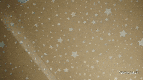 pomrabbit giphyアップロードGIF