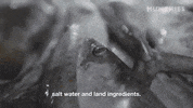 mexican food mexico GIF by Munchies