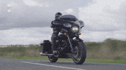Performance Experience GIF by Harley-Davidson