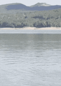 Tvln GIF by The Vanlife Network