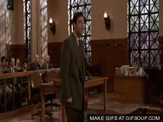 liar GIF