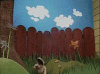 Playing fetch