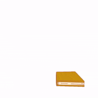 capitaoganchopizzaria  GIF