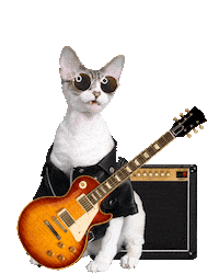 Devon Rex Cat Sticker