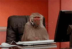 giphy.com
