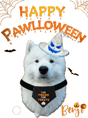 Trick Or Treat Halloween Sticker