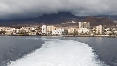 Canary Island Goodbye GIF by For 91 Days