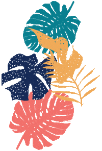 coloridoviamia Sticker by Via Mia