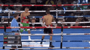 toprank fight boxing fighting espn GIF