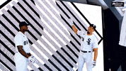 Major League Baseball Sport GIF by NBC Sports Chicago
