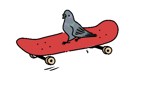 Bird Skateboard Sticker