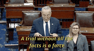 news impeachment senate trial chuck schumer GIF