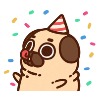GIF by Puglie Pug